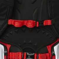 Artic Traveler Backpack