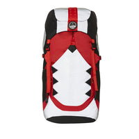 Artic Traveler Backpack