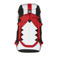 Artic Traveler Backpack