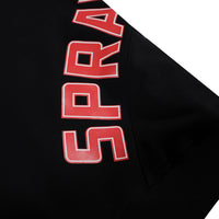 SPRAYGROUND DAILY REGULAR HOODIE