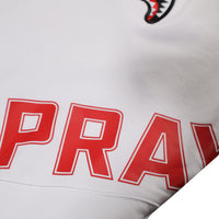 SPRAYGROUND DAILY REGULAR HOODIE