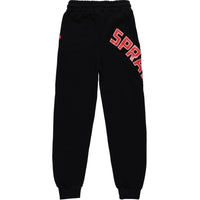 SPRAYGROUND DAILY BAGGY PANTS