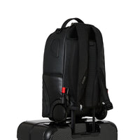CARBON FIBER FULL SIZE LUGGAGE