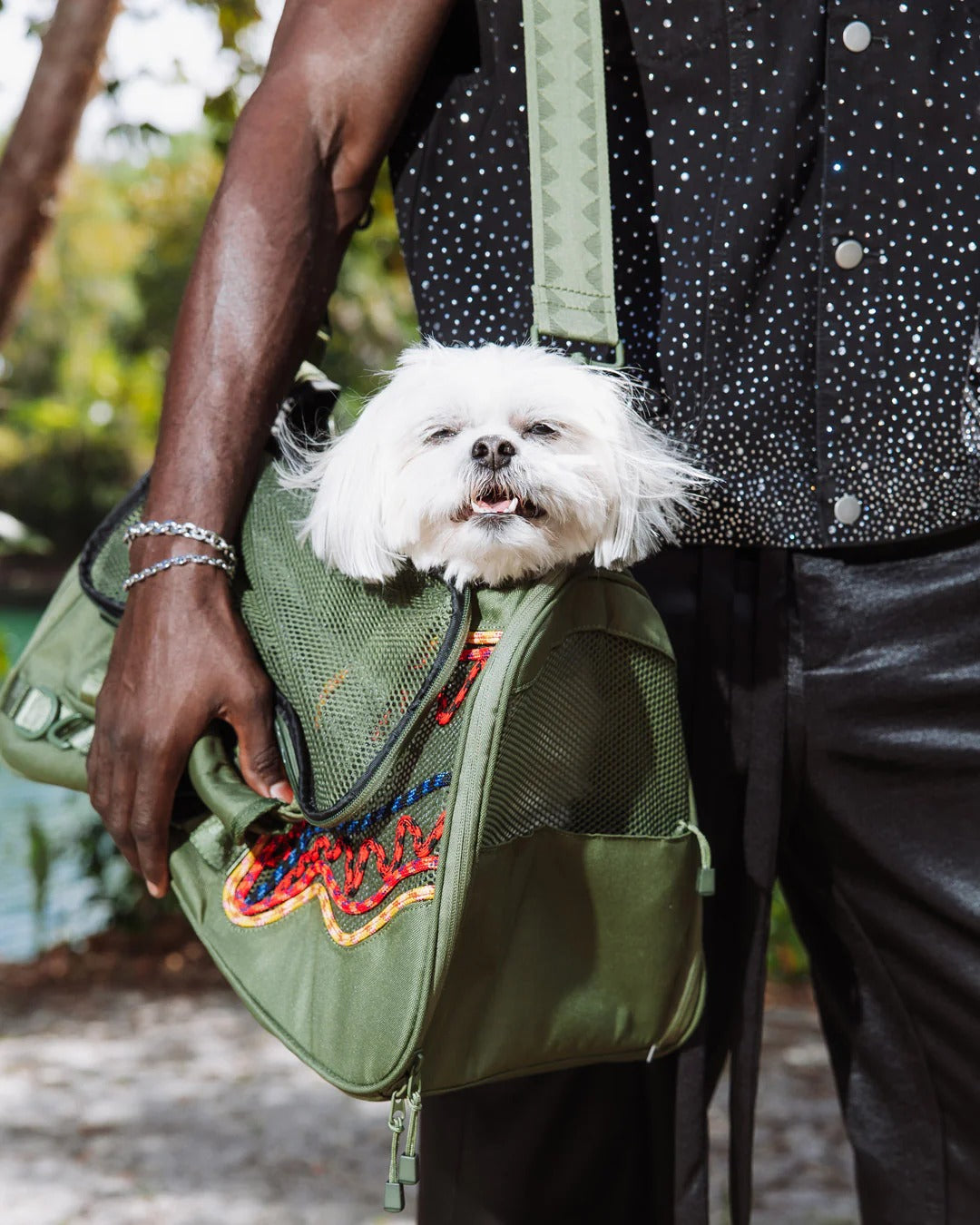CLIMBING CORD SHARK PET CARRIER