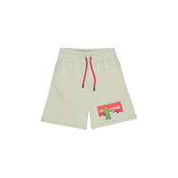 SHOW THE SHARK SAGE SHORTS