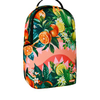 CITRUS SPLIT BACKPACK