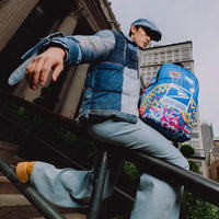 USPS MAILBOX VANDAL BACKPACK