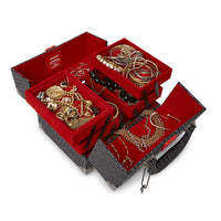 Money Check Grey Jewelry Case 910b4852nsz