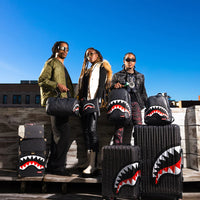 Grey Money Check Luggage 910cl182nsz