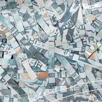 Shredded Money