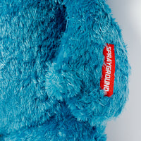 Cookie Monster Money Bear