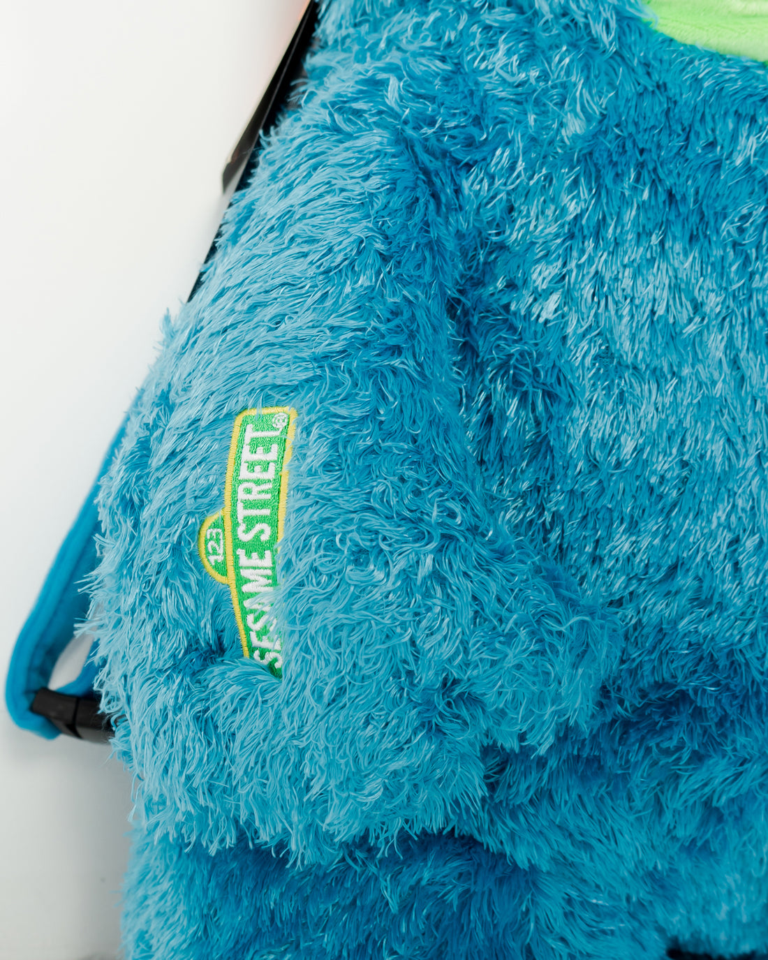 Cookie Monster Money Bear