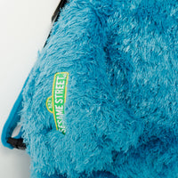 Cookie Monster Money Bear