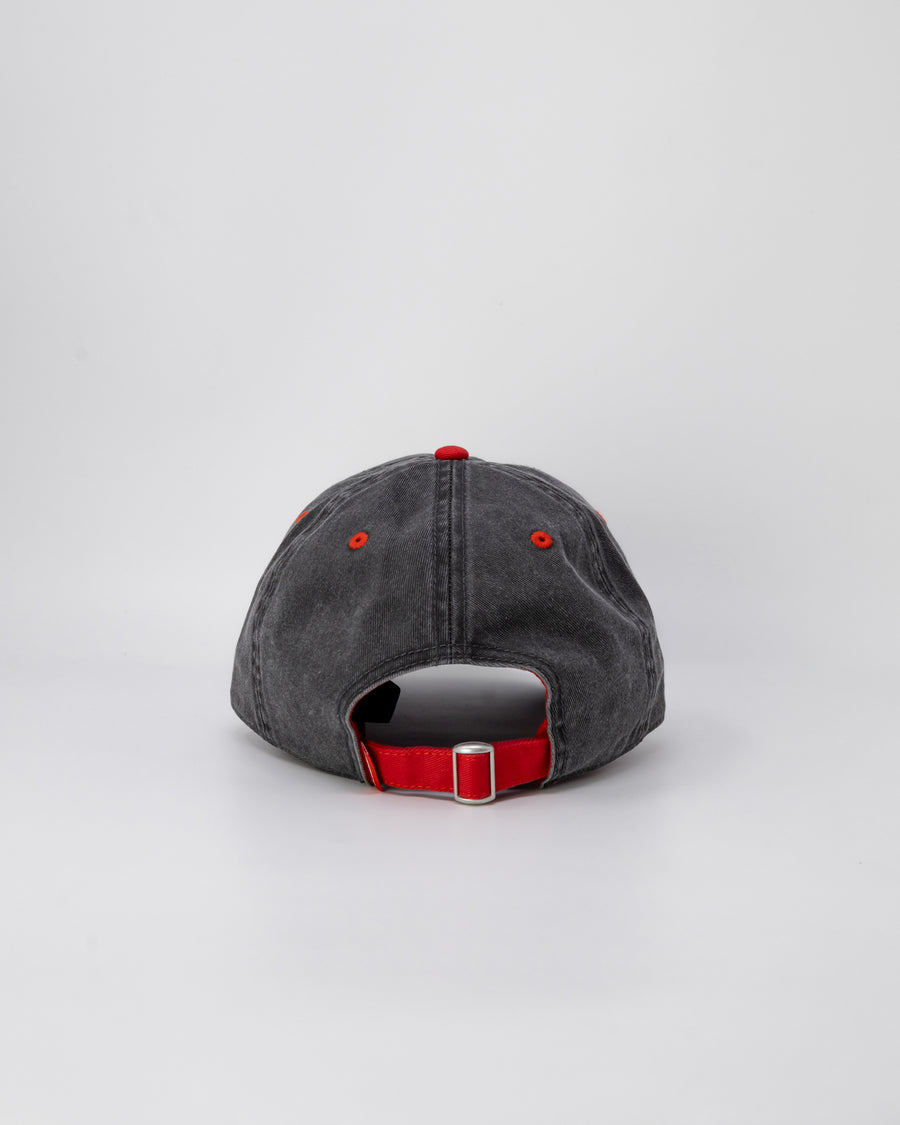 Gorra Sprayground LABELSHARK CAP Gris