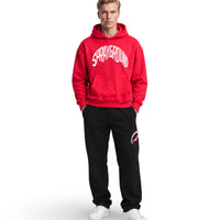 SHARK SHAPE BASIC HOODIE