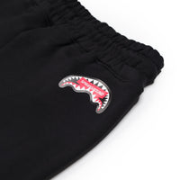 SPRAY ON THE SIDE PANTS