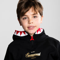 TAKEOVER THE THRONE VISOR HOODIE