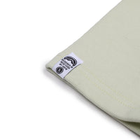 SHARK BASIC SHORTS SAGE