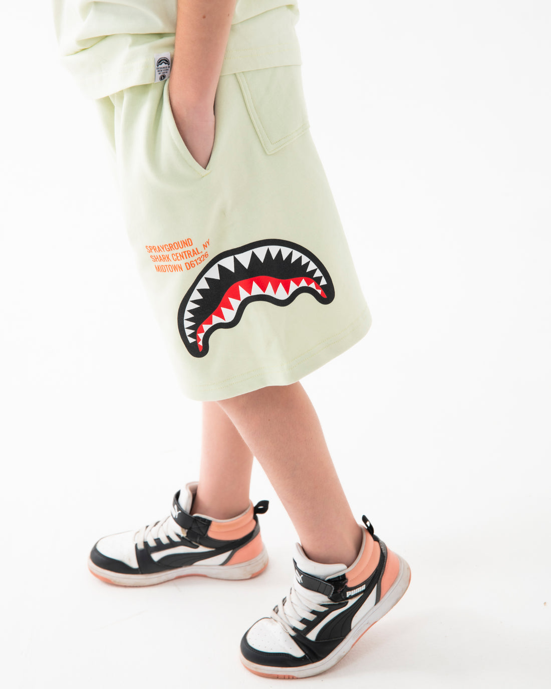 SHARK BASIC SHORTS SAGE