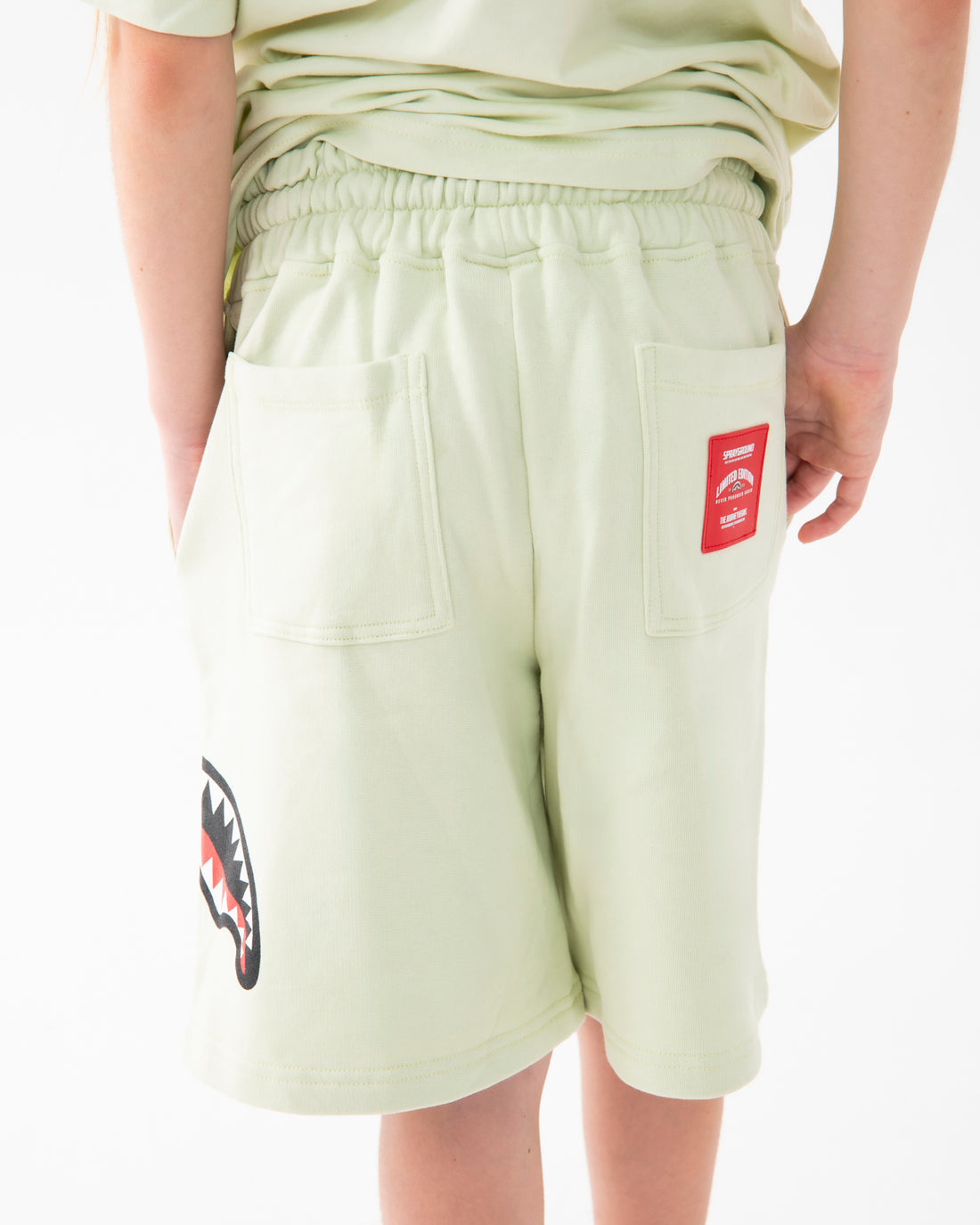 SHARK BASIC SHORTS SAGE