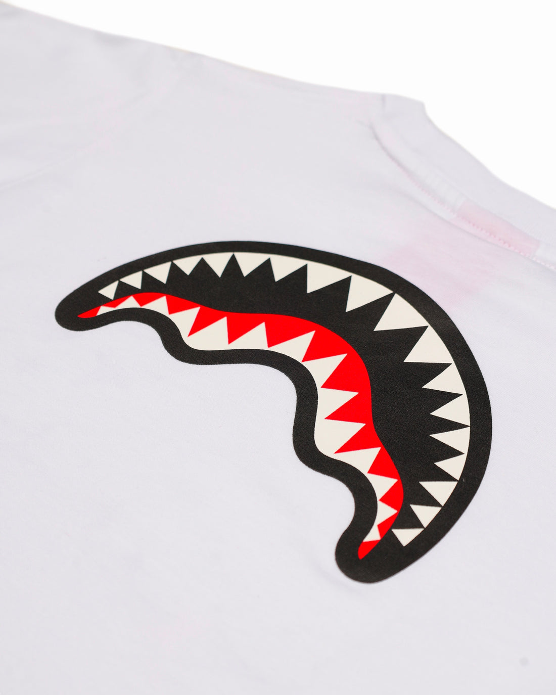 CATCH  BEAR REGULAR T-SHIRT WHT