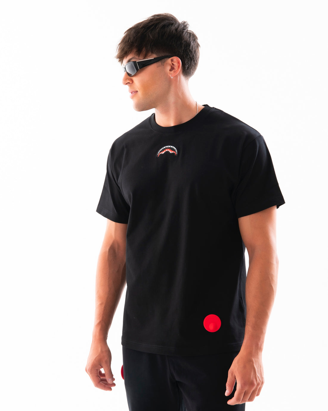 MY STOLEN SPRAY REGULAR T-SHIRT BLK
