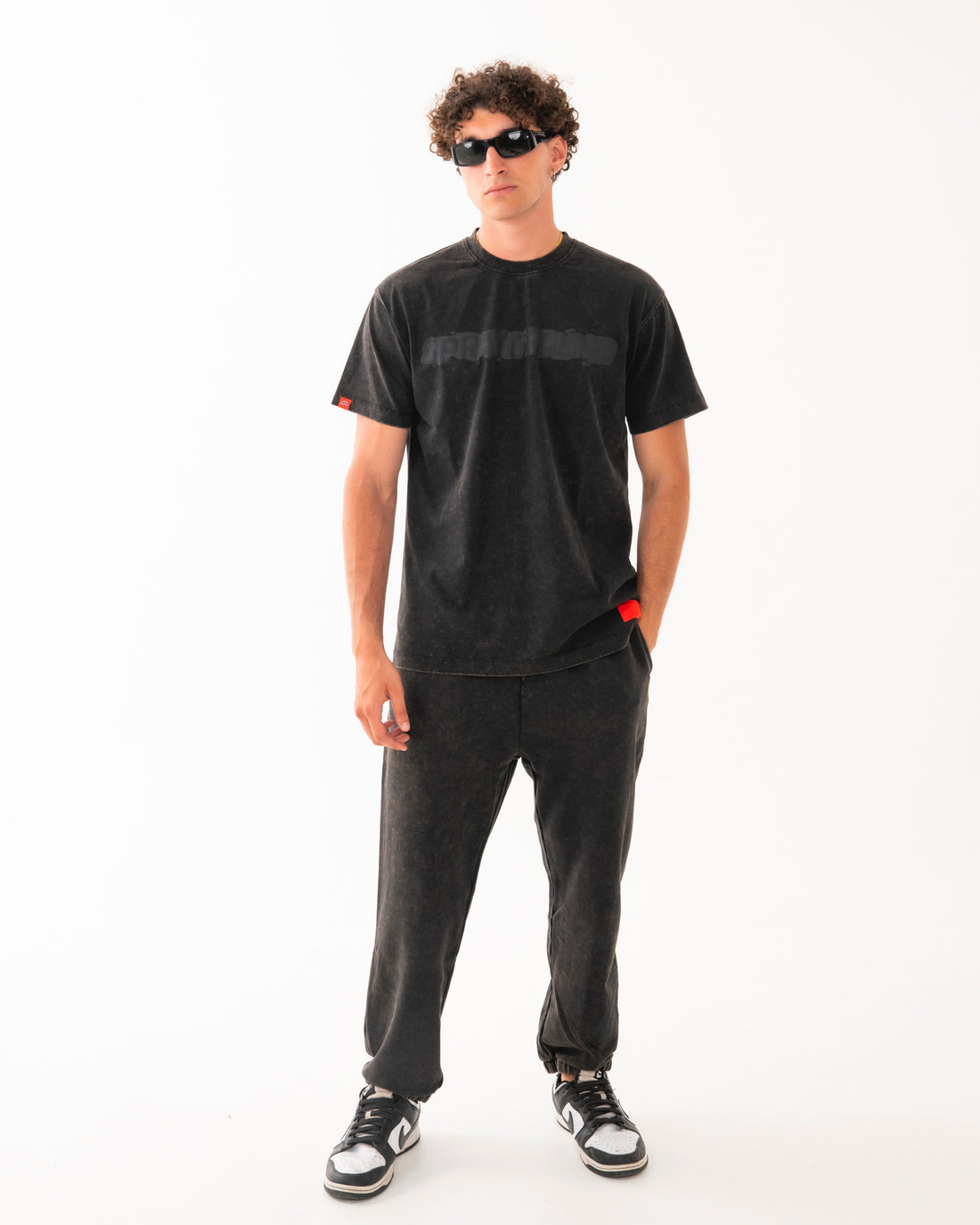 STONE WASHED MELTED SHARK NEW REG T-SHIRT BLK