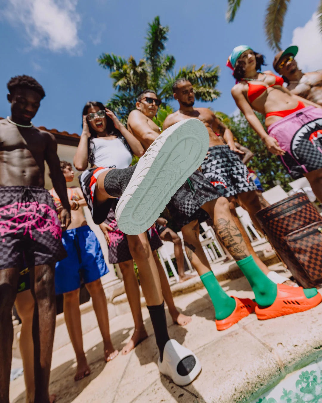 SHARK SLIDE
