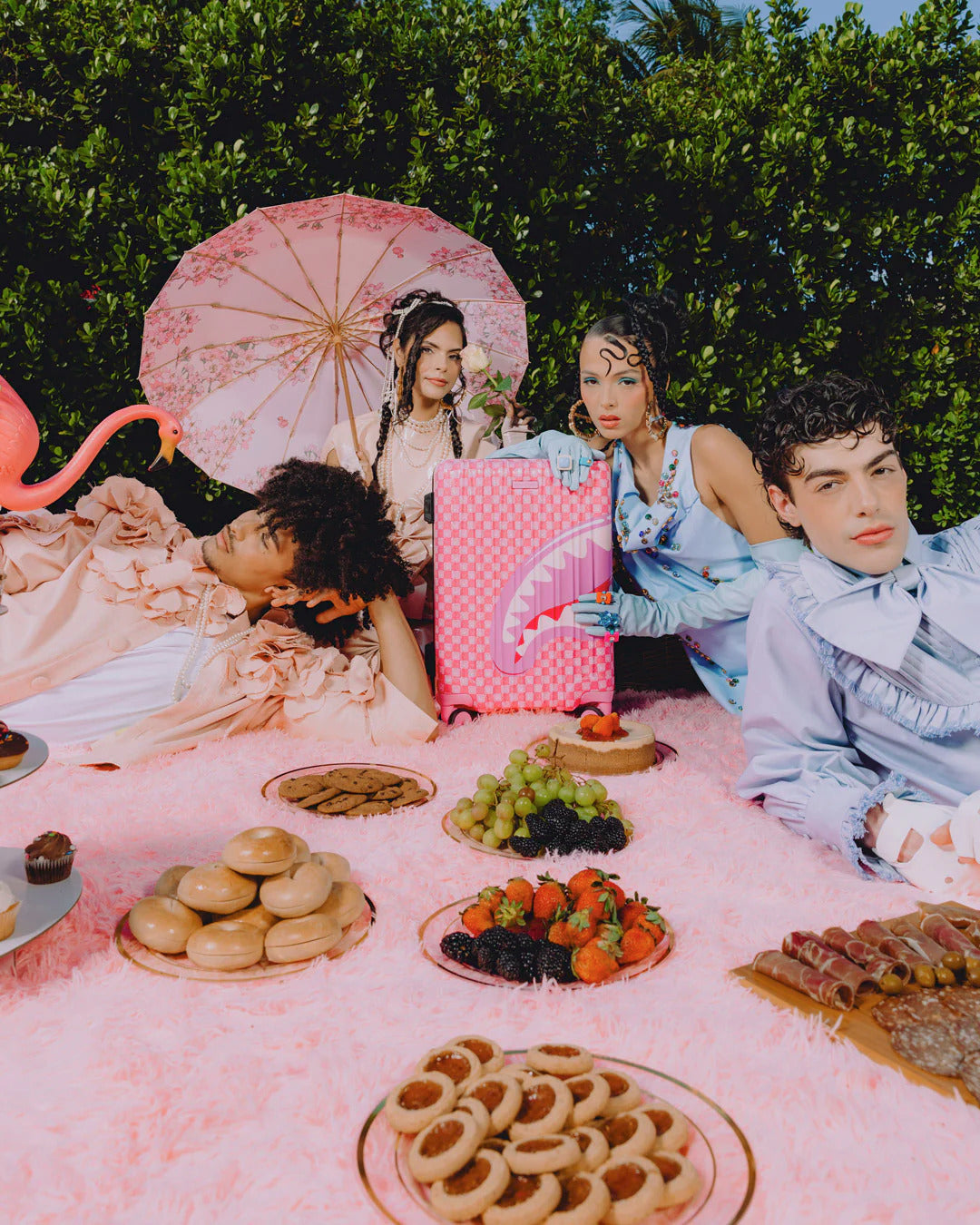 PINK NEW CHECK FACES CARRY-ON LUGGAGE