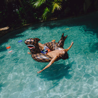 SHARK FLOATY
