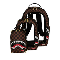 BAG WITHIN A BAG WITHIN A BAG BACKPACK