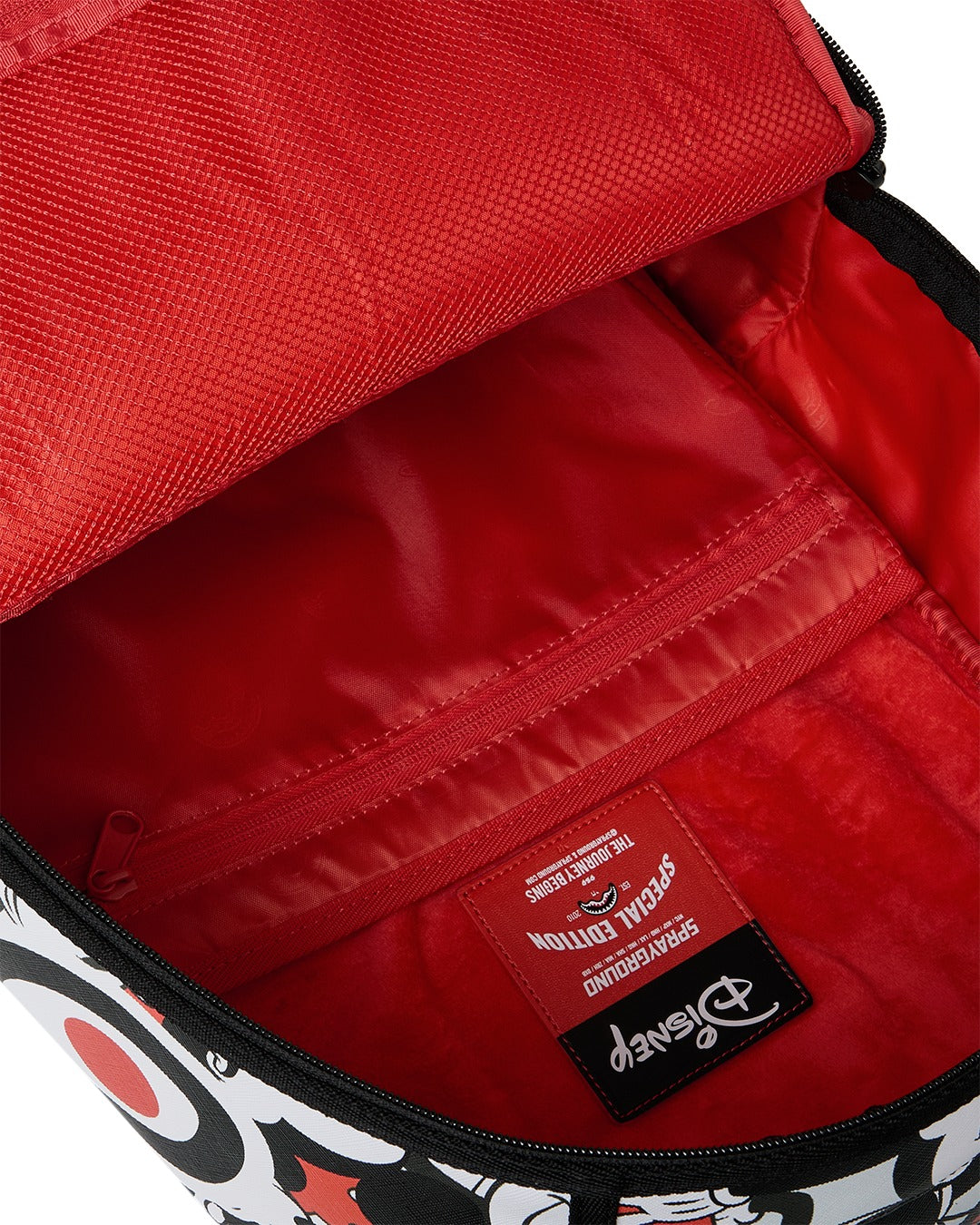 DISNEY MICKEY CRAMMED BACKPACK