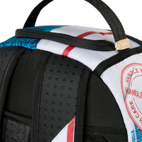USPS PRIORITY PACKAGE BACKPACK