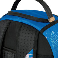 USPS MAILBOX VANDAL BACKPACK