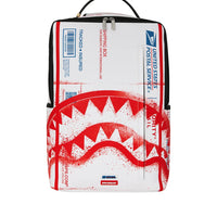 USPS SHIPPING BOX BACKPACK