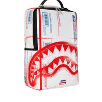 USPS SHIPPING BOX BACKPACK