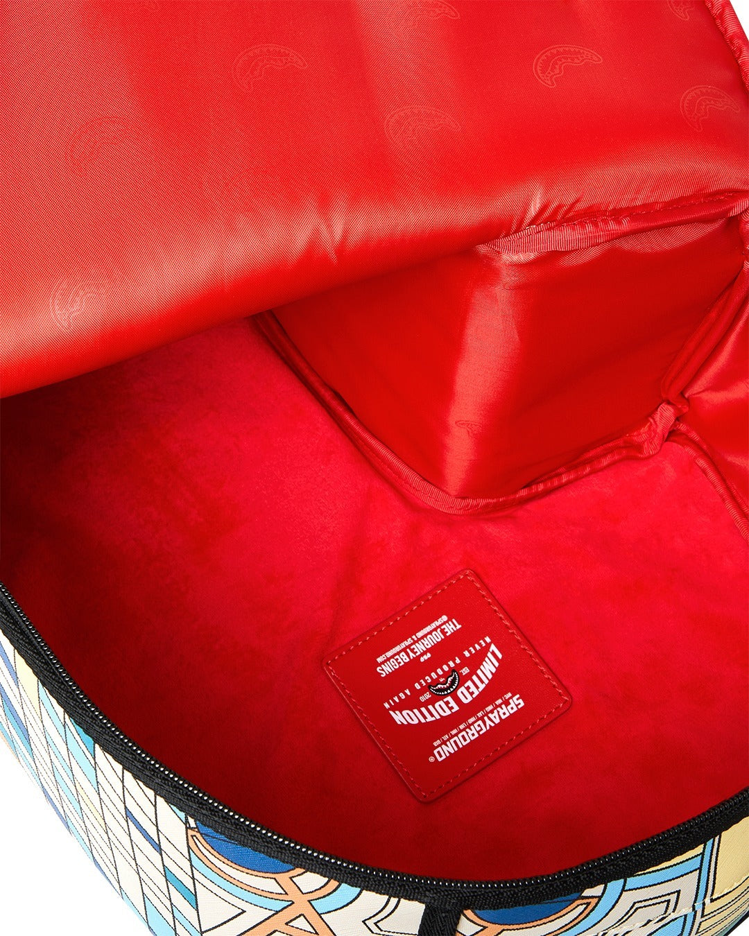 FLW SPLIT APART BACKPACK