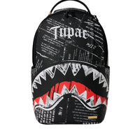 TUPAC LYRICS BACKPACK
