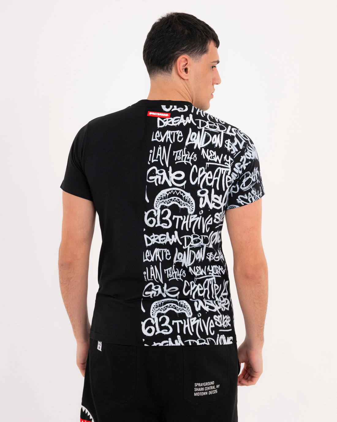 SPLIT GRAFFITI REGULAR T-SHIRT