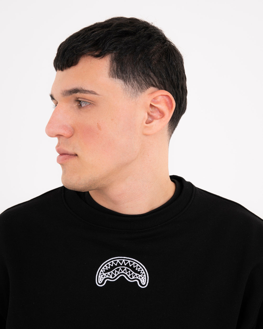ALL THE SPRAYGROUND REGULAR CREWNECK
