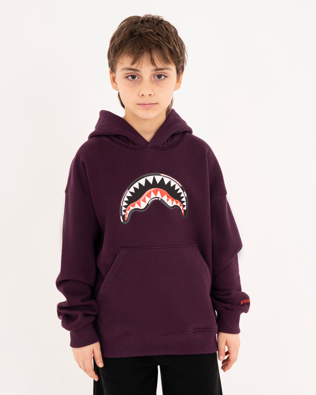 PAINTED DIABLO OVER HOODIE PURPLE
