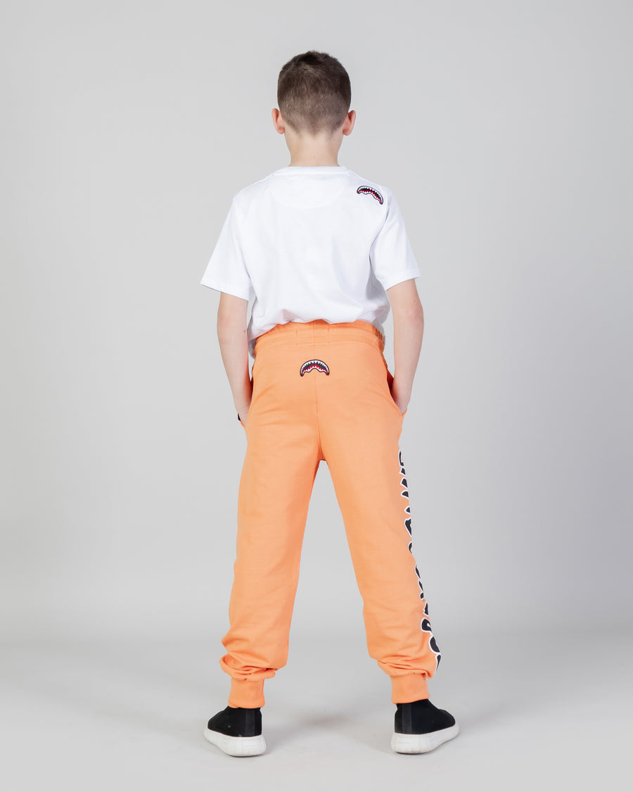 Ragazzo/a - Pantaloni sportivi Sprayground BEAR HANGTAG PANTS YOUTH Arancione