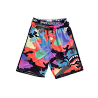 Color Camo Swim Shorts