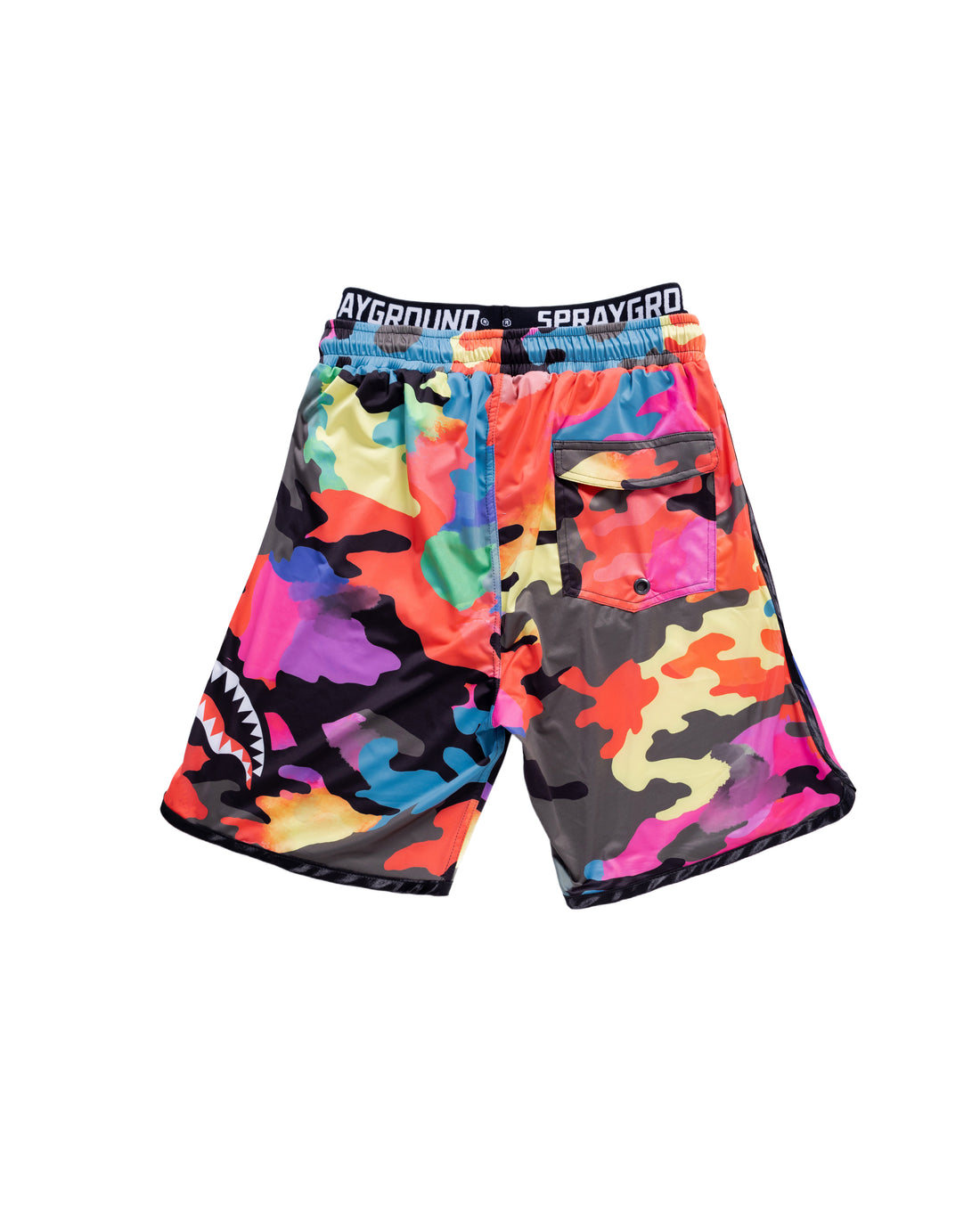 Color Camo Swim Shorts