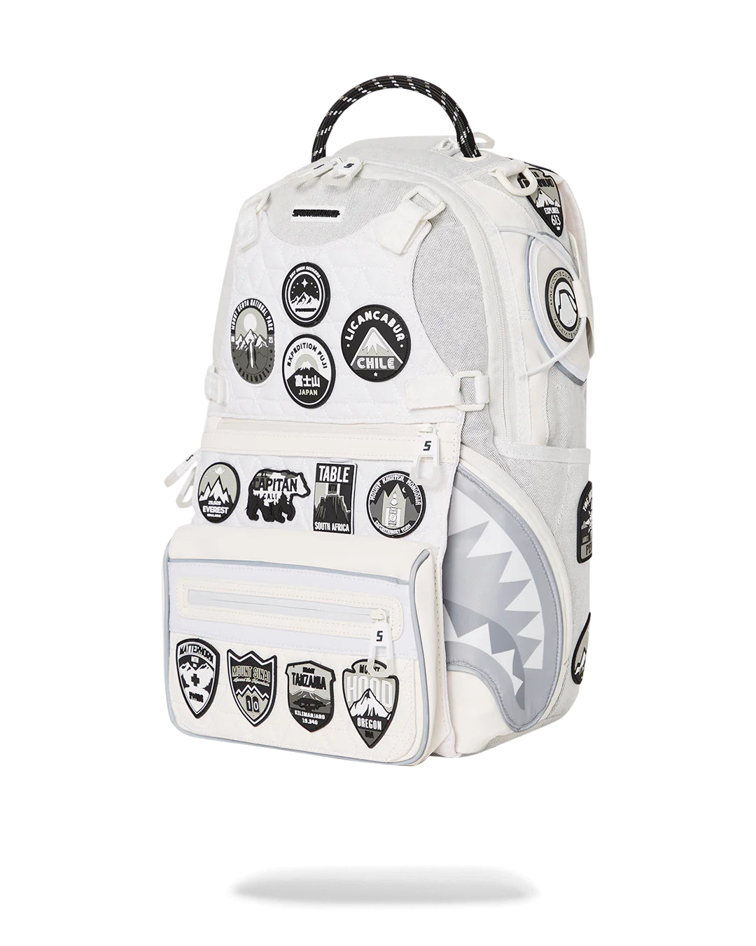 Expedition Snow Backpack