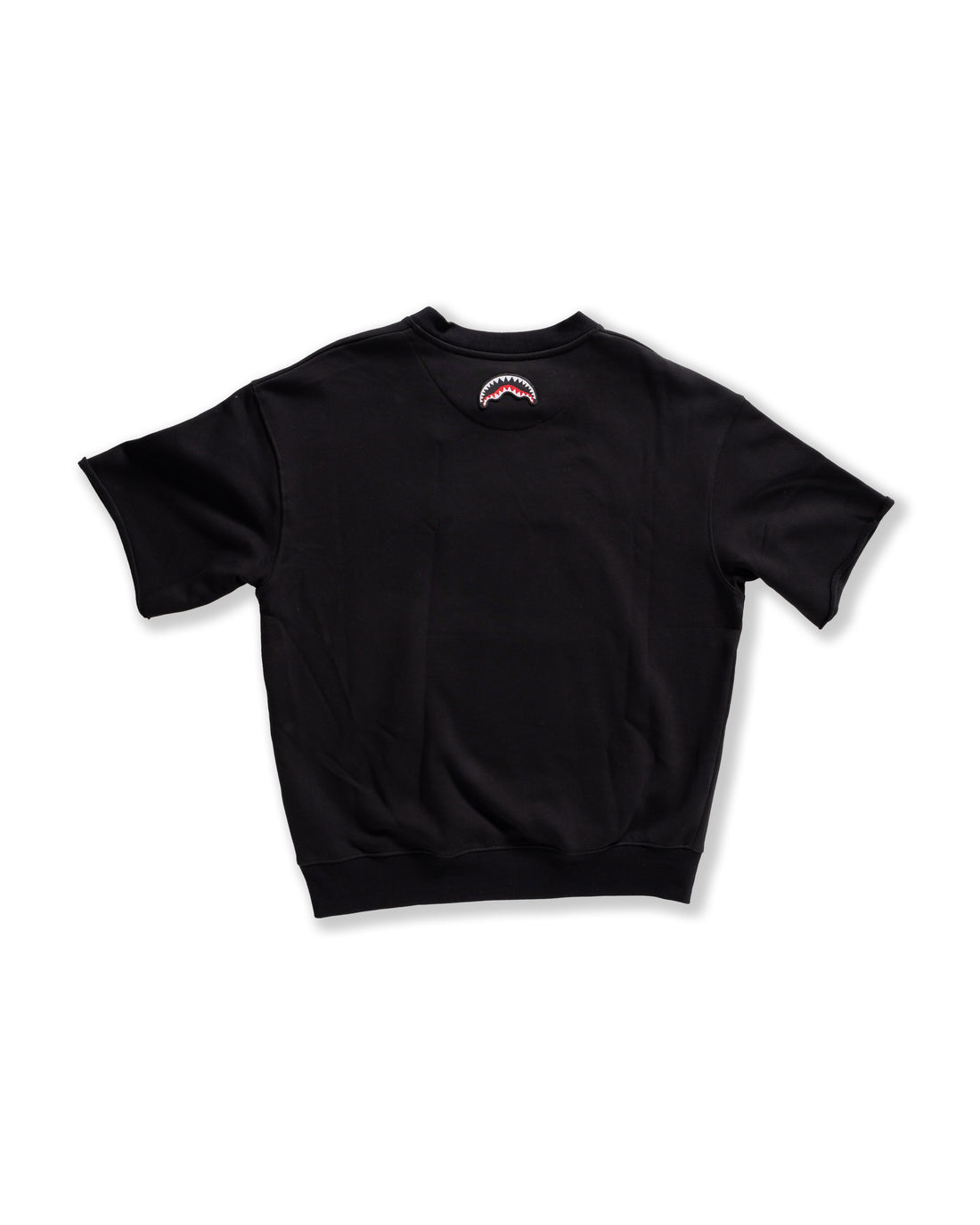 Shaded Embroidery French Terry T-shirt Blk