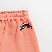 Shark Shape Basic Pants