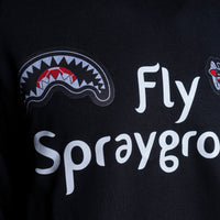 Logo Fly