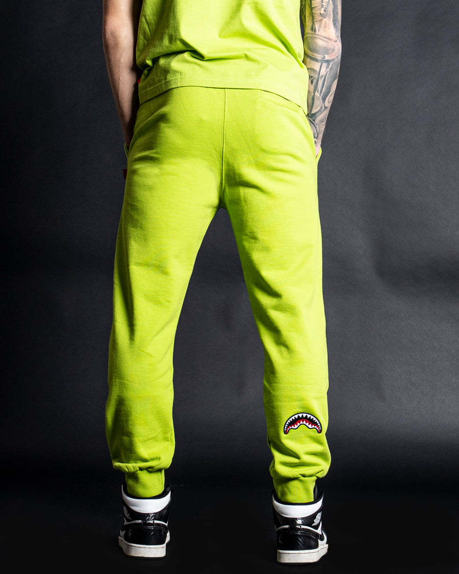 Pantaloni sportivi Sprayground SPRAY PANTS Verde